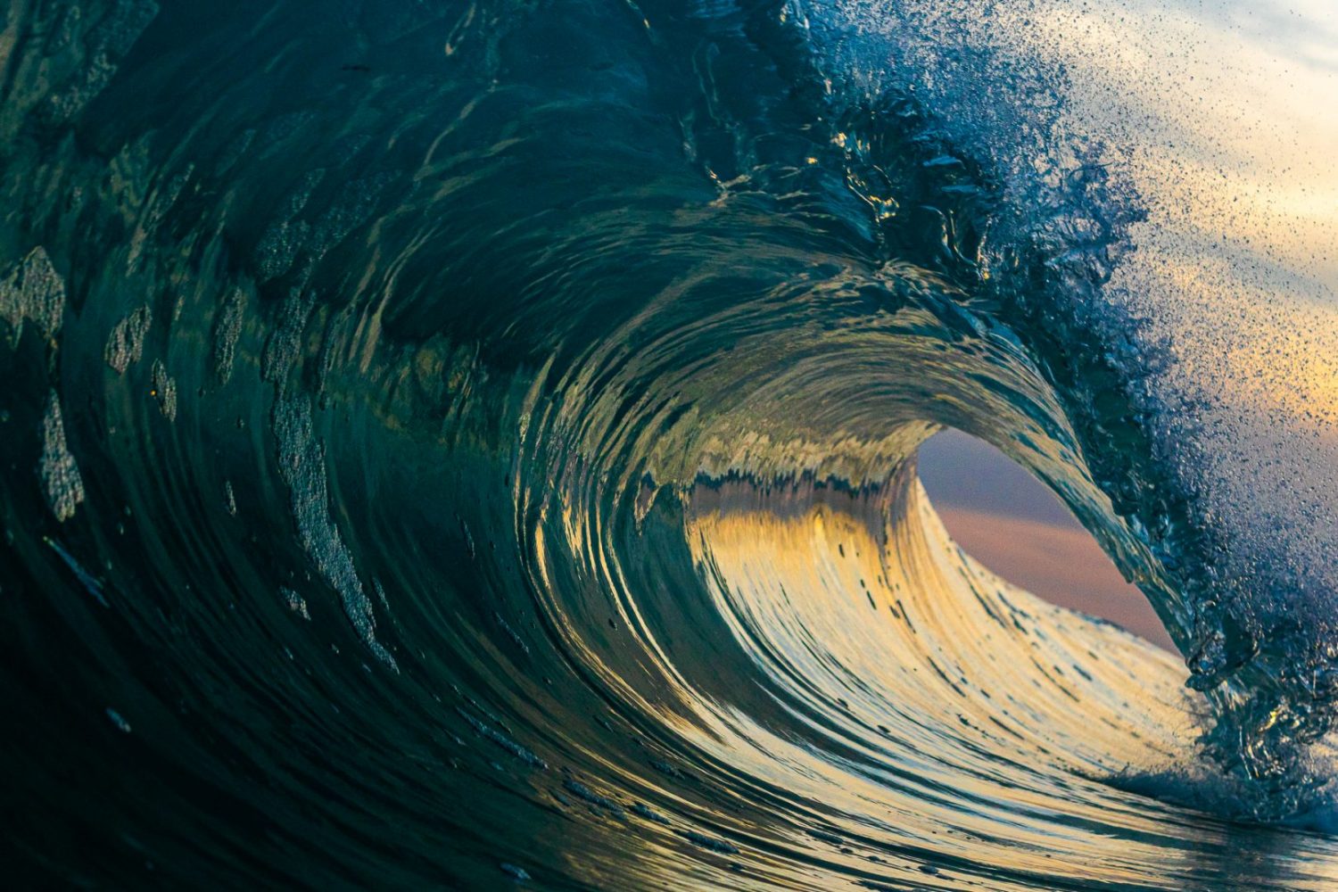 On World Health Day, we’re reminded that health is more than routines or resolutions—it’s about how we move, how we connect, and the environments we’re part of. For many, the ocean is where all of those things come together.